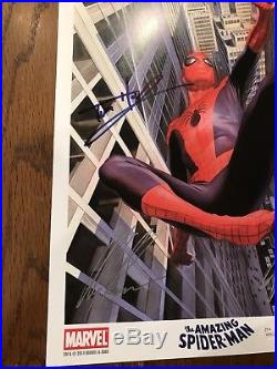 Amazing Spider-Man poster Signed By Tom Holland, Stan Lee, Alex Ross with JSA COA