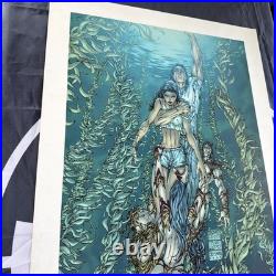 AutographedFATHOM Poster, Michael Turner, 18x27.5, 2000 Top Cow Dynamic Forces