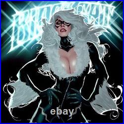 BLACK CAT #4 SIGNED ART PRINT Adam Hughes SPIDER-MAN Variant AUTOGRAPHED Poster BLACK CAT #4 SIGNED ART PRINT Adam Hughes SPIDER-MAN Variant AUTOGRAPHED Poster