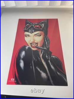 DC CATWOMAN Art Print Metal Poster By MIKE S MILLER Art 11x17 Brand New Open
