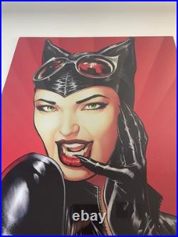 DC CATWOMAN Art Print Metal Poster By MIKE S MILLER Art 11x17 Brand New Open