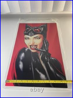 DC CATWOMAN Art Print Metal Poster By MIKE S MILLER Art 11x17 Brand New Open