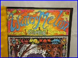 DEAD NIC GRAY WATER MELON COMIC No 6 1993 Yellow Fur Large Underground COMIX
