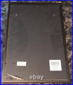 Goldberg Signed Framed Autographed 11x17 Comic Book Art with Highspots COA WWE