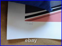HARLEY QUINN Lithograph Numbered 171/225 by Craig Drake MINT 24X36 LARGE HARLEY QUINN Lithograph Numbered 171/225 by Craig Drake MINT 24X36 LARGE