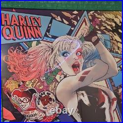 Harley Quinn Framed Poster DC Universe Comic Book Collectible Wall Art