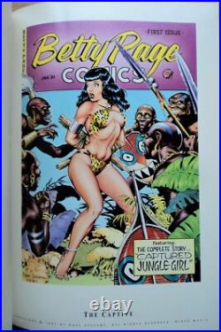 Just Teasing 1st, Dave Stevens 1991 Betty Page Sheena Planet Comics Poster Book