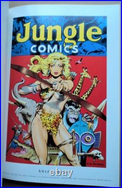 Just Teasing 1st, Dave Stevens 1991 Betty Page Sheena Planet Comics Poster Book