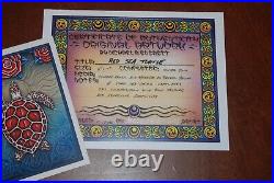 Michael Everett Red Sea Turtle 2007 Original Grateful Dead Poster Print Art