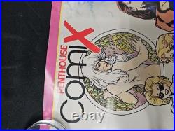 PENTHOUSE COMIX PROMO POSTER (1995) Penthouse Adam Hughes Art Folded New
