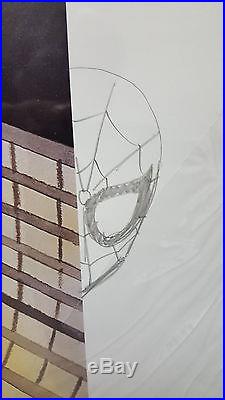 RARE RE-MARKED LITHOGRAPH Spider-Man vs. Green Goblin Signed & Sketched