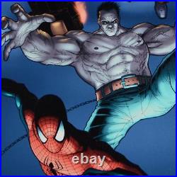 STAN LEE signed SPIDER-MAN Marvel ORIGINAL COMIC Artwork CANVAS framed COA HULK STAN LEE signed SPIDER-MAN Marvel ORIGINAL COMIC Artwork CANVAS framed COA HULK