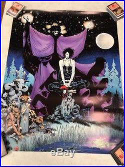 Sandman and Death poster by Kelly Jones vertigo DC Rolled New Rare 1991