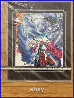 SpiderMan Hulk Todd McFarlane Marvel PosterPrint 1990 Comic Images 12.5x15.5 328