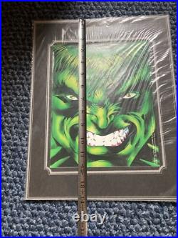 The Incredible Hulk? Sealed Marvel Poster Print 1991 Comic Images 12.5x15.5
