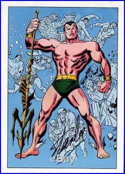 Vintage Marvel 1978 NAMOR The SUB-MARINER Poster HAND SIGNED by STAN LEE w COA